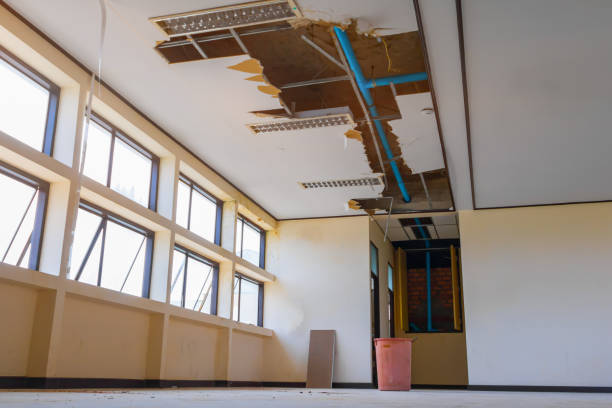 Best Water damage cleanup near me  in Williamston, SC