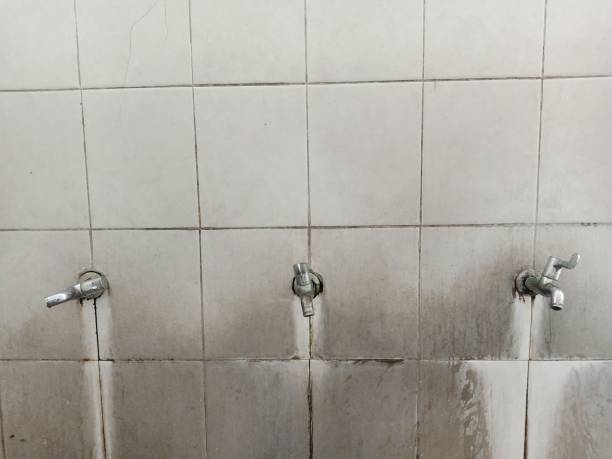 Best Professional water damage repair  in Williamston, SC