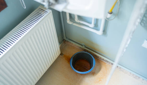 Best Fire Damage Restoration  in Williamston, SC